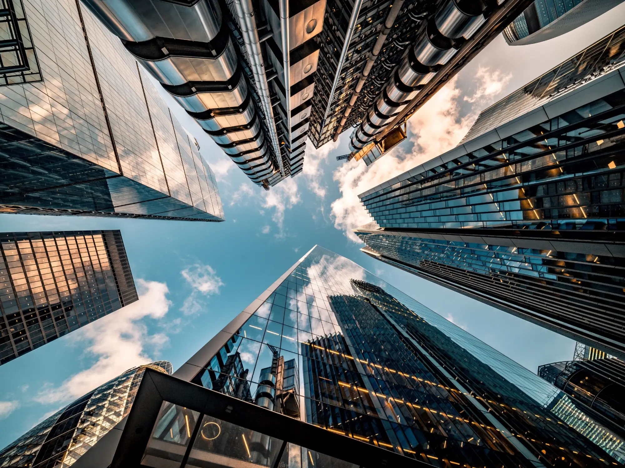 Our capital markets services