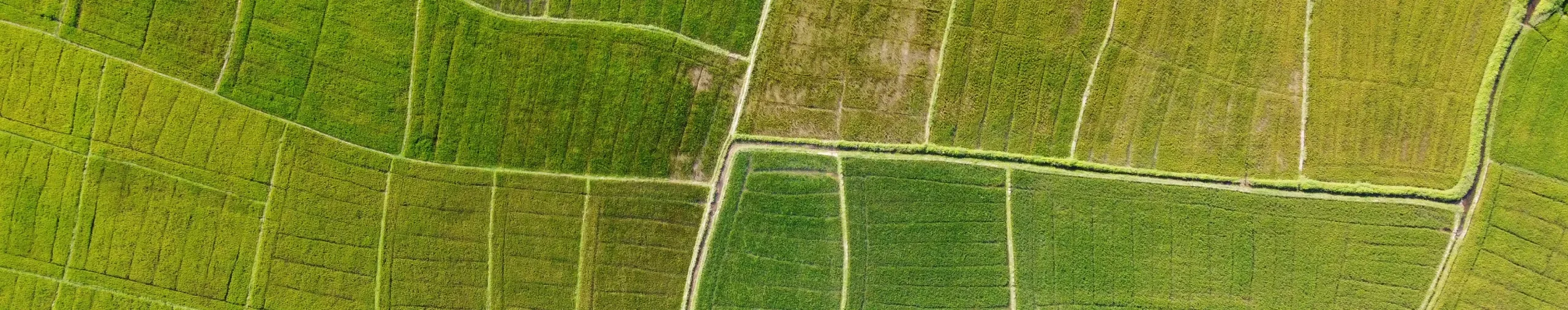 Land Agency
