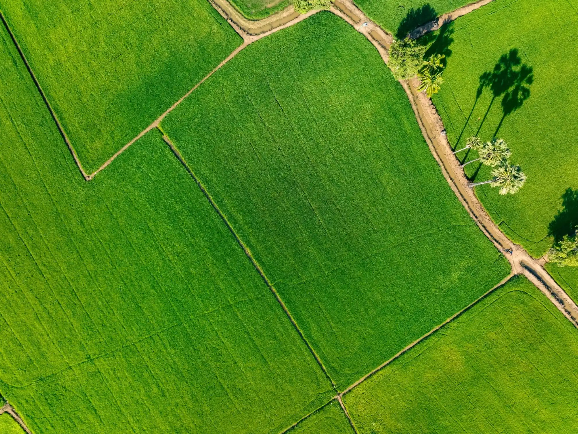Our land agency services