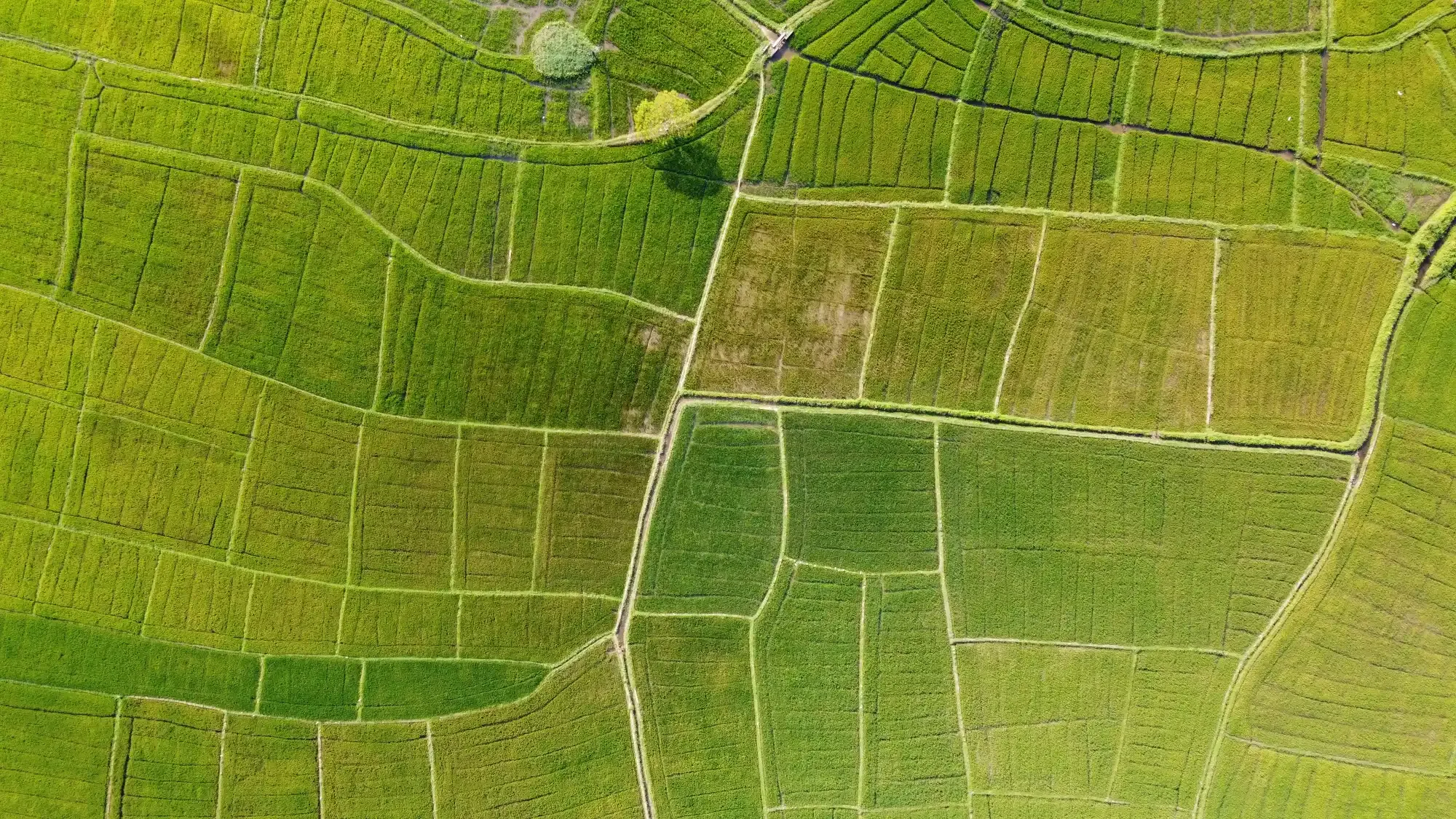 Land Agency
