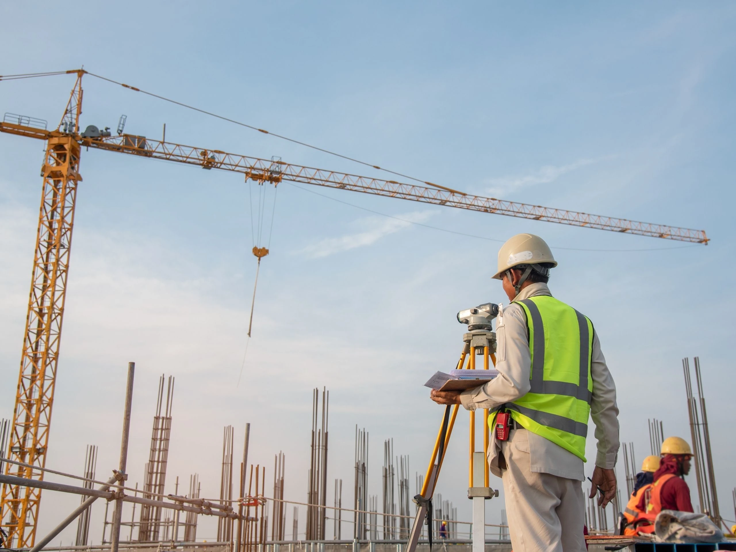 Our project management and development advisory services